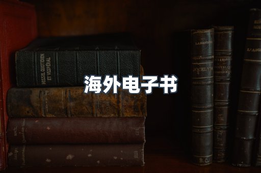 海外电子书